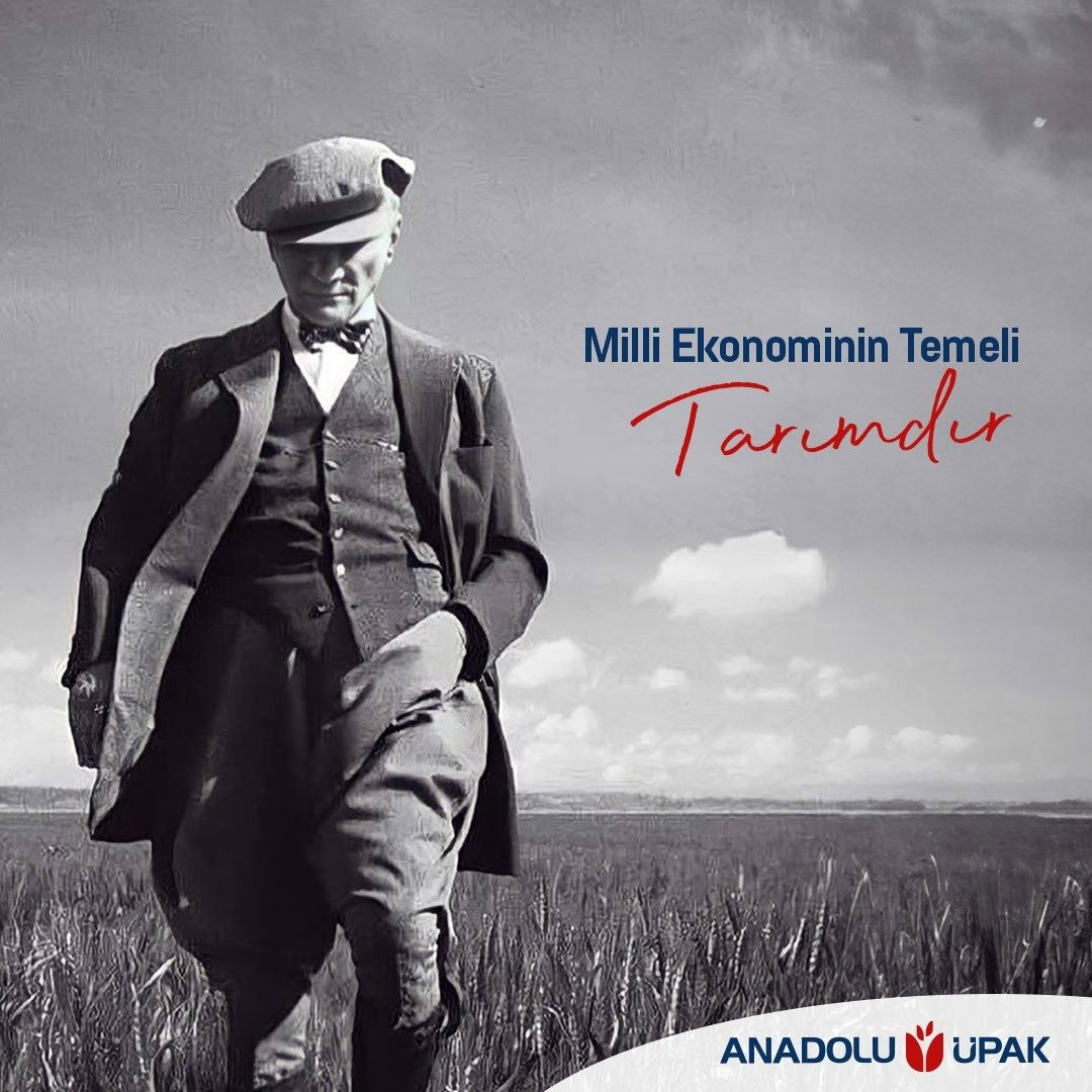 TARIM ONLINE